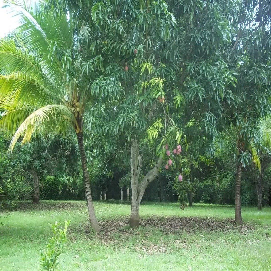 FINCA NILO CUNDINAMARCA