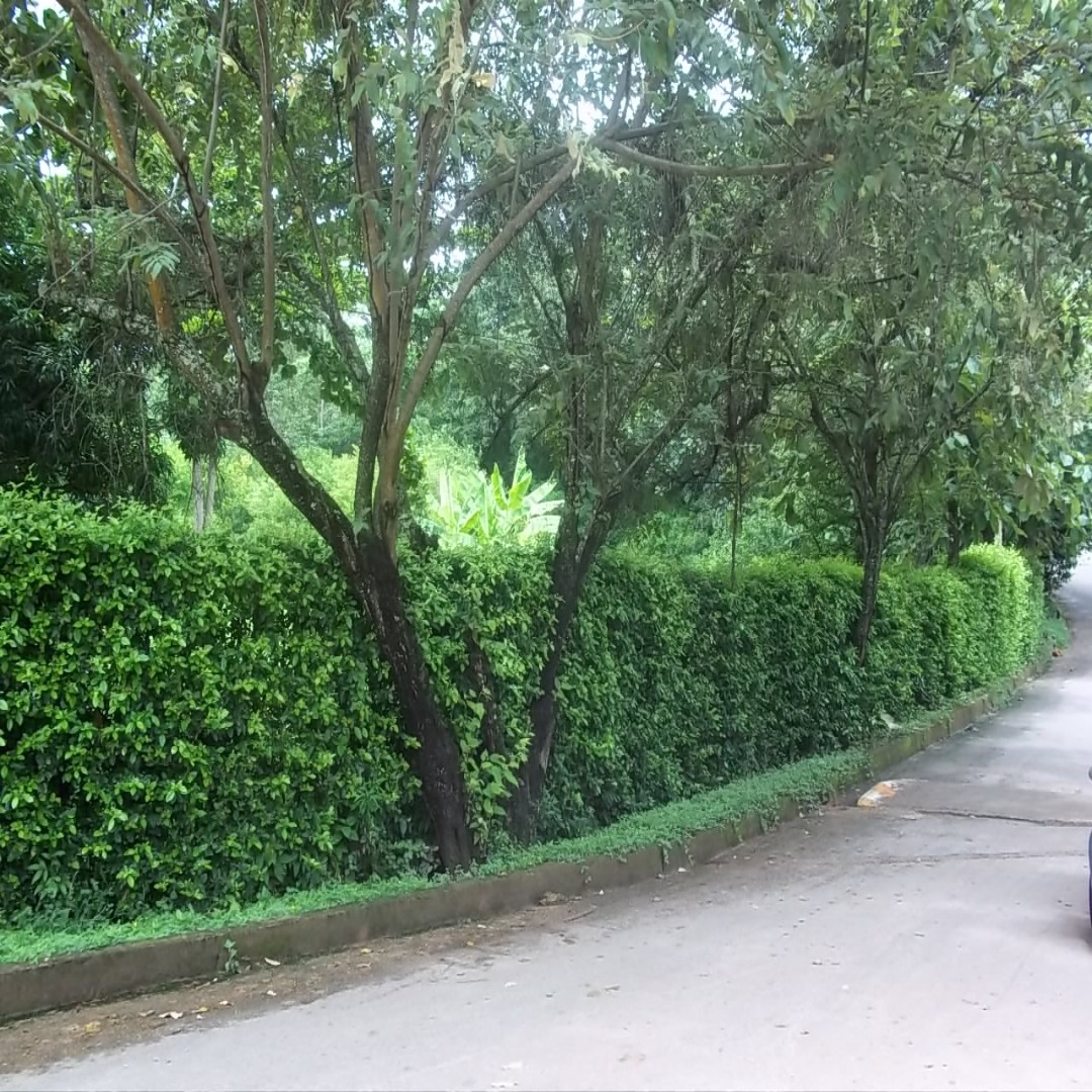 FINCA NILO CUNDINAMARCA